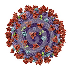 SARS-CoV-2 coronavirus, previously 2019-nCoV, also known as Covid-19