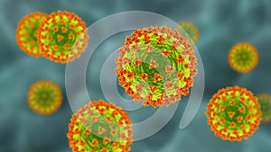 SARS-CoV-2 coronavirus, the virus which causes COVID-19