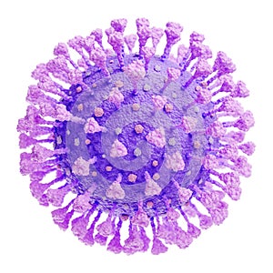 SARS-Cov-2 Virus