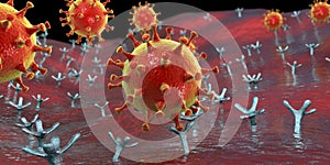 SARS-CoV-2 virus binding to ACE2 receptors on a human cell photo