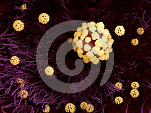 Sars disease, coronavirus in the lung photo