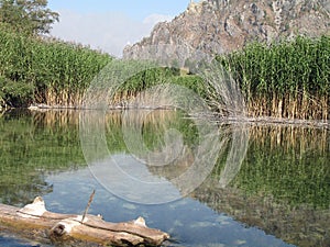 Sary-Chelek Lake