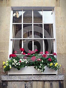 Sash Window and Flower Box