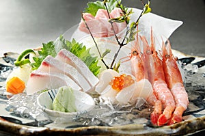 Sashimi