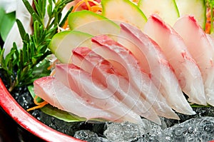 Sashimi Carangidae