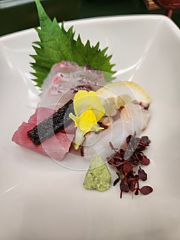 Sashimi sakana wasabi oishii e flower