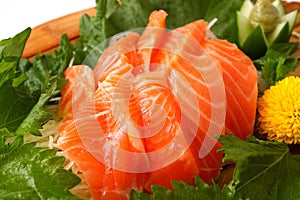 Sashimi of the salmon