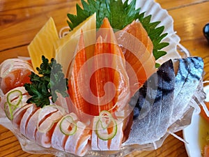 Sasimi salmon and fish