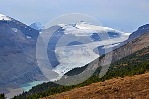 Saskatchewan glacier, brown and gray mountains with forest.