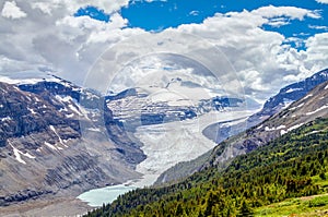 Saskatchewan Glacier at Parker Ridge in Jasper National Park