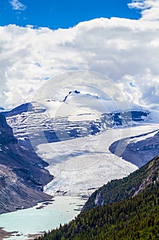 Saskatchewan Glacier at Parker Ridge in Jasper National Park