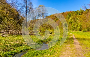 Saspowka creek in Saspowska Valley nature park in spring season within Jura Krakowsko-Czestochowska Jurassic upland in Poland