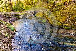 Saspowka creek in Saspowska Valley nature park in spring season within Jura Krakowsko-Czestochowska Jurassic upland in Poland