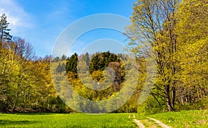 Saspowska Valley nature park and reserve along Saspowka creek in Jura Krakowsko-Czestochowska Jurassic upland in Lesser Poland