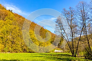 Saspowska Valley nature park and reserve along Saspowka creek in Jura Krakowsko-Czestochowska Jurassic upland in Lesser Poland