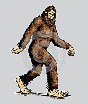 Sasquatch, Yeti, Bigfoot walking vector illustration photo