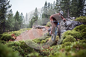 Sasquatch (Yeti) Jumps A Bicycle In The Air