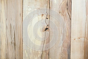 Sassafras wooden background