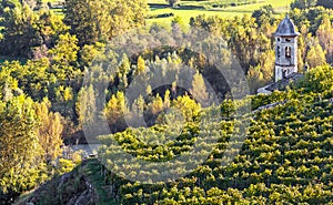 Sondrio - Valtellina IT