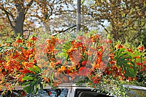 Sassenheim, Netherlands â€“ April 21, 2018: 100 years Bloemencorso Bollenstreek Flower Parade