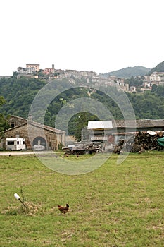 Sassocorvaro (Montefeltro) - Town and hens