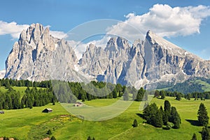 Sassolungo and Sassopiatto mountains from Alpe di Siusi or Seiser Alm, Dolomites Alps , Italy