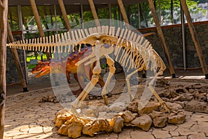 SATAPLIA, KUTAISI, GEORGIA: A statue of a moving dinosaur and a skeleton in the museum in the reserve in Sataplia.