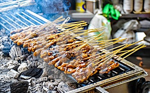 Satay skewers with chicken meat
