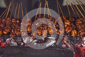 Sate ayam or chicken satay with rice cake lontong served with peanut sauce, sliced chilis and shallot. photo with