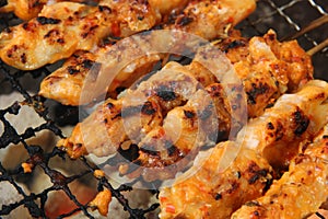 Sate Serepeh Rembang