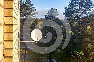 Satellite aerial antenna dish on brick wall over pine woods