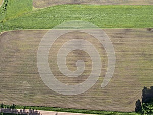 Satellite and Aerial Style Photos of Corn Crop Field
