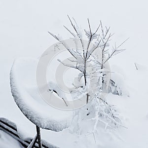 Satellite antenna covered by snow