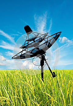 Satellite dish antennas in field