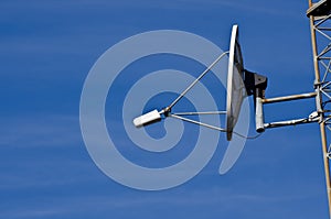 Satellite Dish on Communications Tower