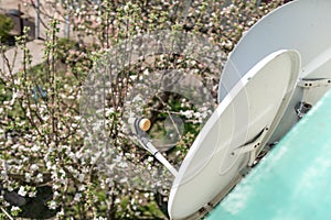 satellite dish at home in a flower garden