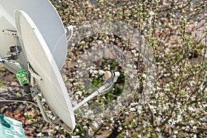 satellite dish at home in a flower garden