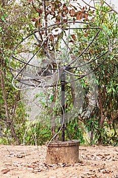 Satellite dish mounted on the ground
