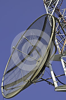 Satellite dish on a telecommunications tower