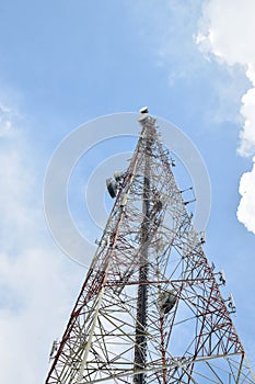 Satellite dishes for telecommunication