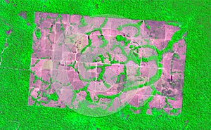 Satellite image of the Amazon. Generated and modified images of the Sentinel sensor.