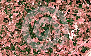 Satellite image where crops are seen over the sonora desert, mexico.