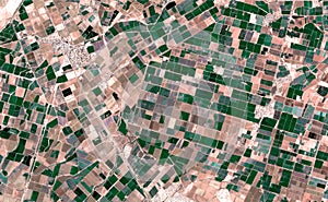 Satellite image where crops are seen over the sonora desert, mexico.