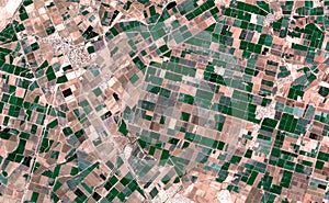 Satellite image where crops are seen over the sonora desert, mexico. photo