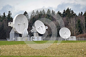 Satellite radio and TV antennas in the forest