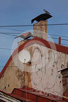 Satellite receiver dish on the roof of an old house. bird sitting on a pipe