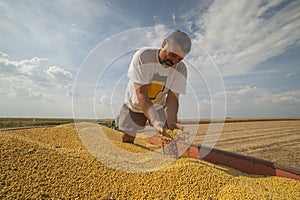 Satisfied farmer after soybean harvest