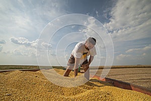 Satisfied farmer after soybean harvest