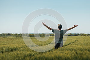 Satisfied successful farmer raising hands in victorious pose in unripe barley crops field on sunny spring day. Rear view of farm