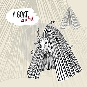 A satisfied white goat with horns and a beard, looking out of a hut. Black and white hand-drawn vector drawing